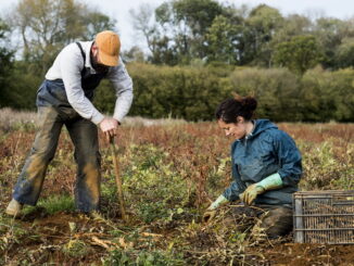 Lavoro nero e sicurezza sul lavoro: un binomio pericoloso