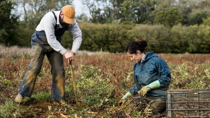 Lavoro nero e sicurezza sul lavoro: un binomio pericoloso