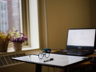 Studiare economia: quali sono gli sbocchi lavorativi più richiesti?